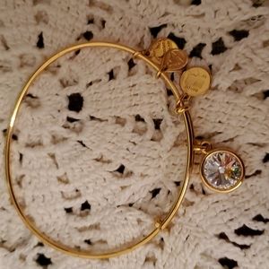 Alex & Ani charm bracelet